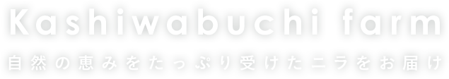 Kashiwabuchi farm 自然の恵みをたっぷり受けたニラをお届け グリーンロード パワフルグリーンベルト ゆめみどり