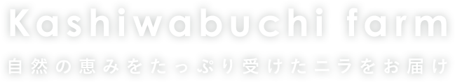 Kashiwabuchi farm 自然の恵みをたっぷり受けたニラをお届け グリーンロード パワフルグリーンベルト ゆめみどり